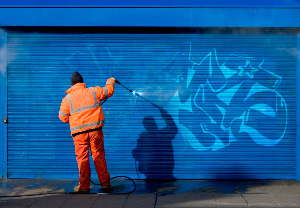 Best Local Pressure Washing Services  in Warren, IN